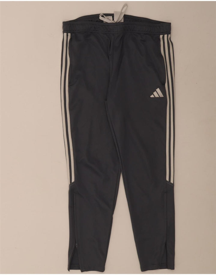 Calça de treino masculina Adidas XL cinza poliéster