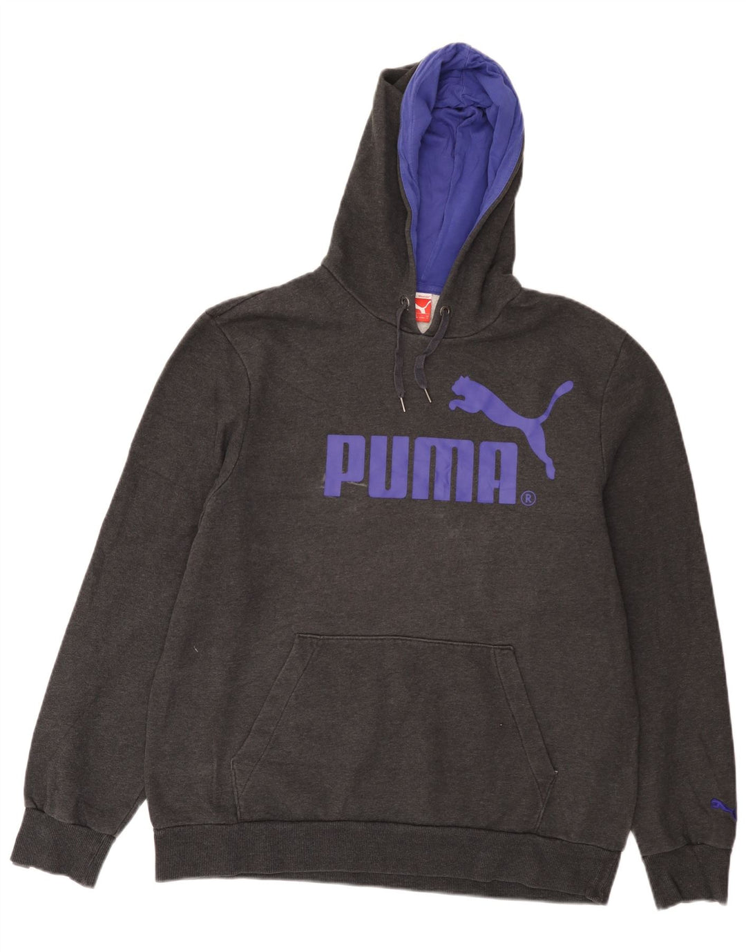 Suéter com capuz gráfico masculino Puma grande cinza