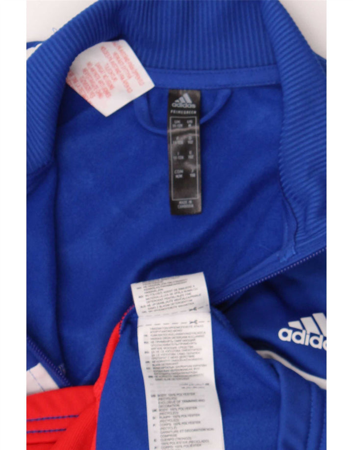 Jaqueta Adidas Meninos Treino Top 11-12 Anos Azul Colorblock Poliéster