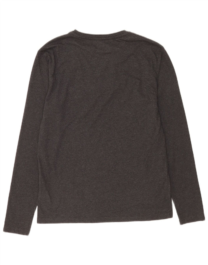 Tommy Hilfiger Camiseta masculina gráfica manga comprida pequena algodão cinza