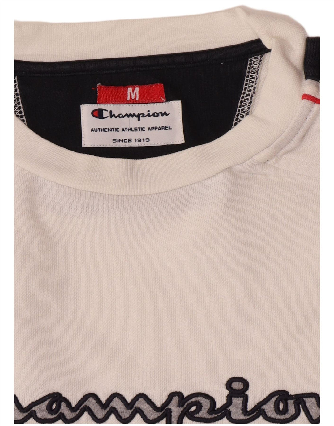 Champion masculino gráfico moletom jumper médio branco colorblock