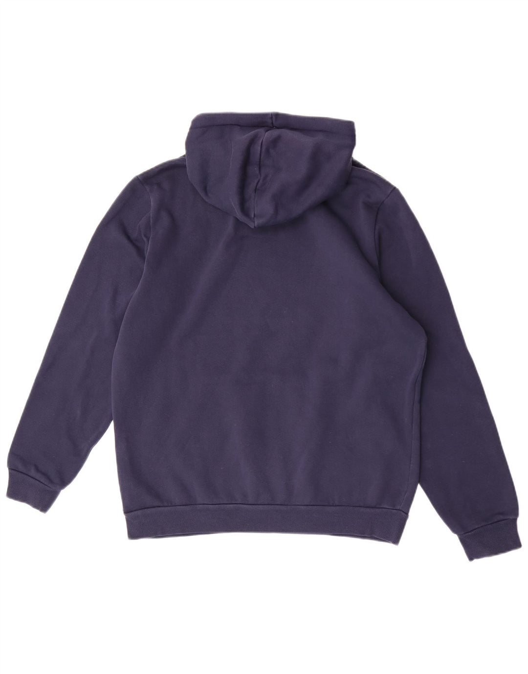 Puma masculino gráfico moletom com capuz médio algodão azul marinho