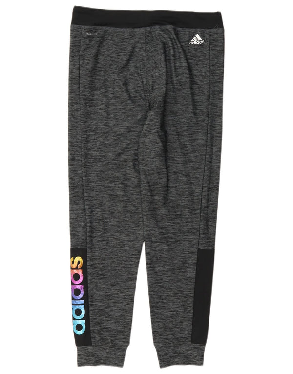 Calças de treino Adidas Girls Climalite Joggers 13-14 anos XL cinza