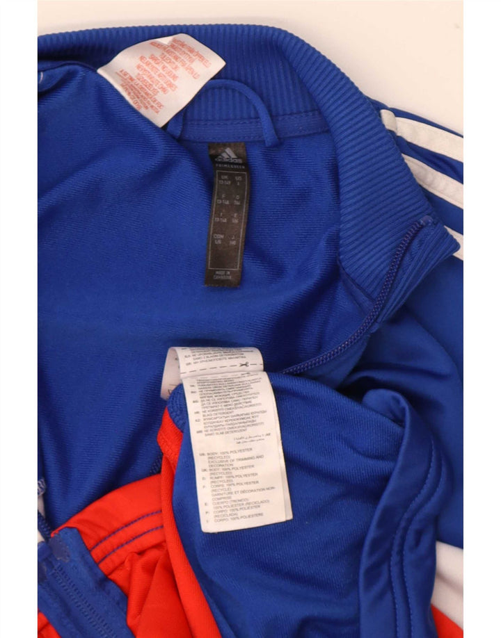 Jaqueta Adidas Meninos Treino Top 13-14 Anos Azul Colorblock Poliéster