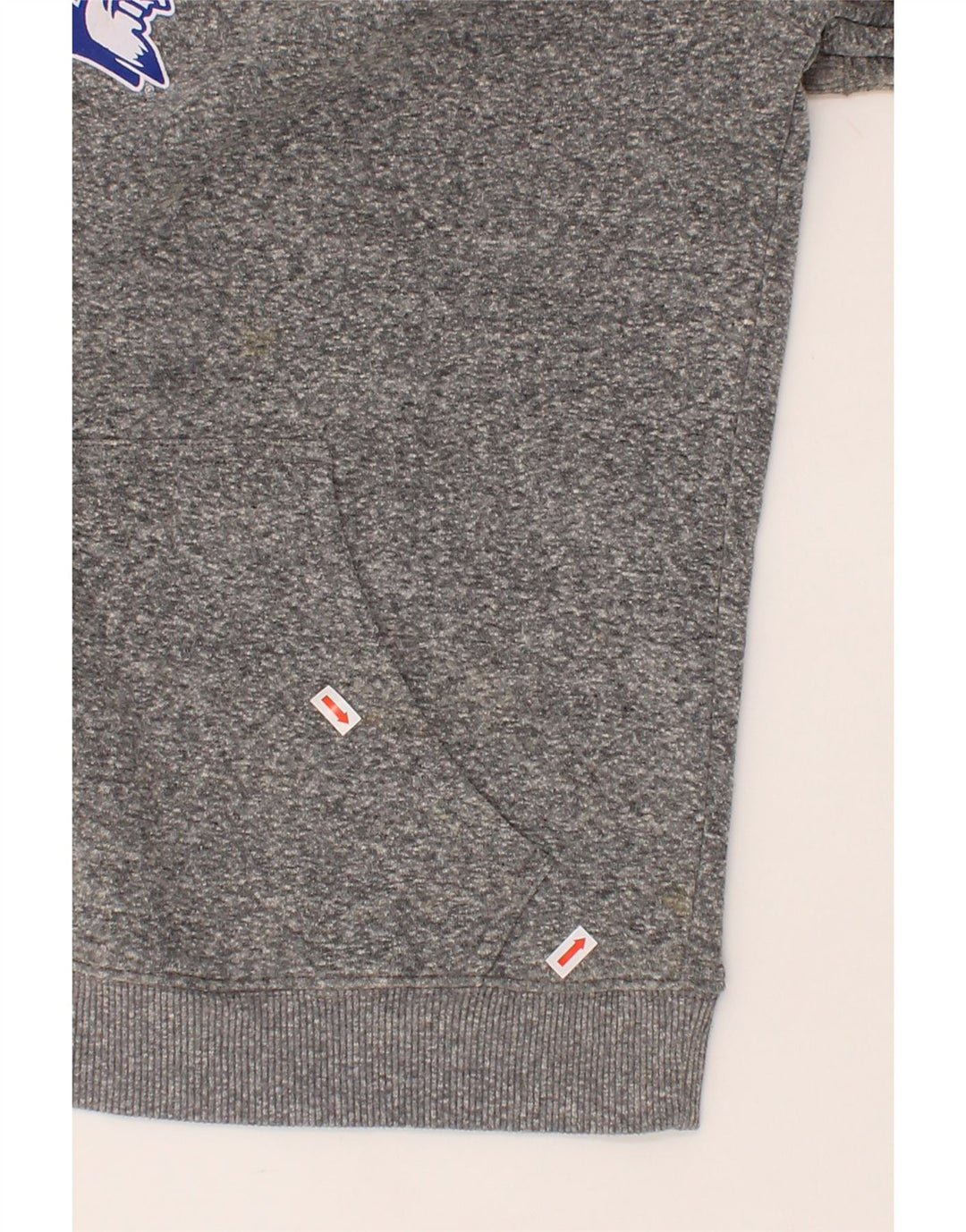 CHAMPION Mens Graphic Sweatshirt Jumper Large Grey Cotton Vintage Champion and Second-Hand Champion from Messina Hembry 