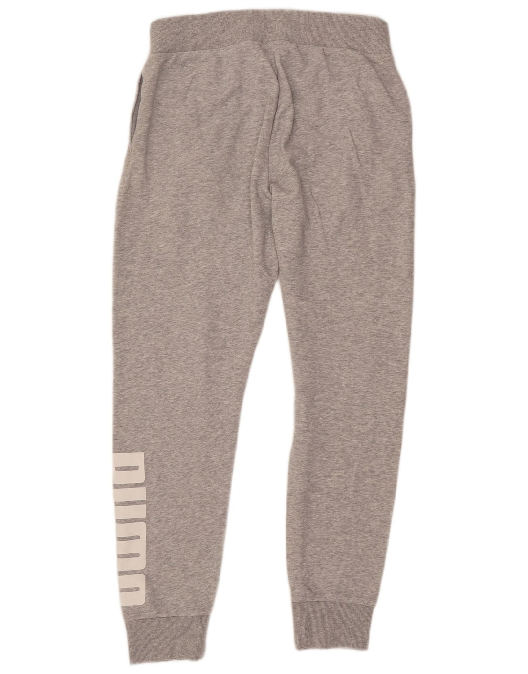 Calça esportiva masculina PUMA Graphic cinza médio