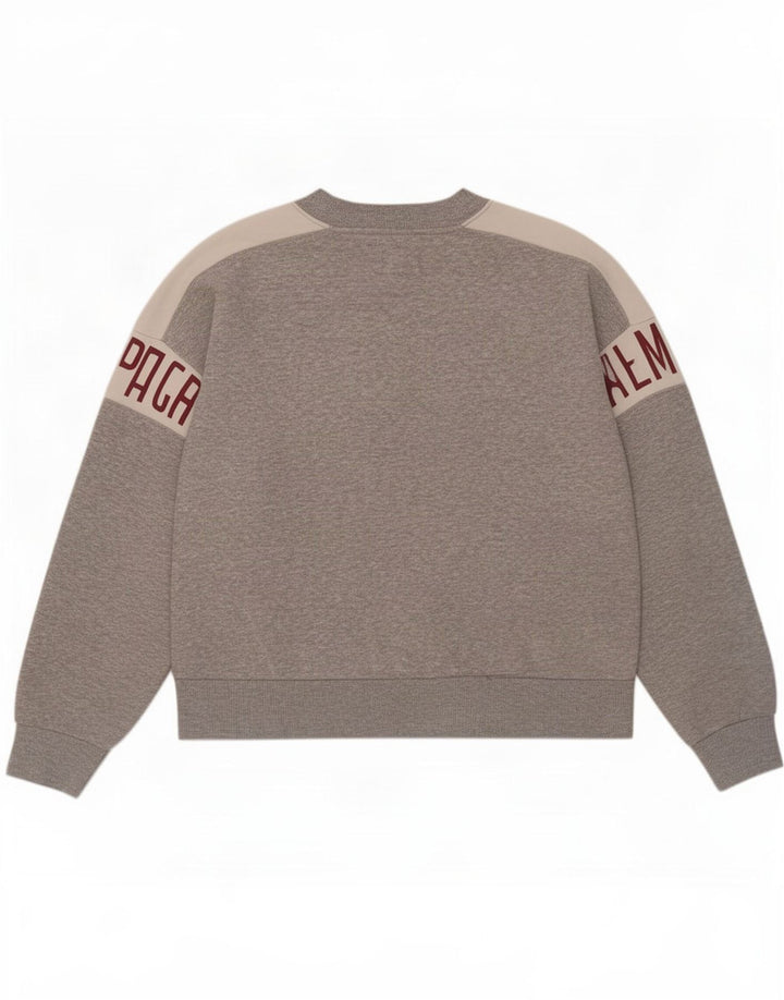 Moletom gráfico masculino American Eagle Jumper cinza médio Colourblock