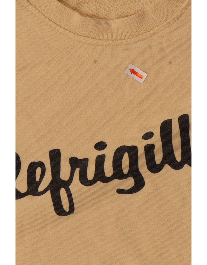 Suéter gráfico masculino Refrigiwear de algodão bege médio
