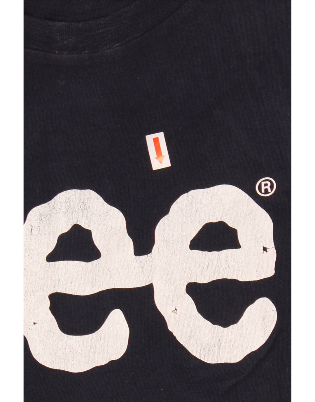 Camiseta masculina Lee Regular Fit com estampa gráfica pequena azul marinho