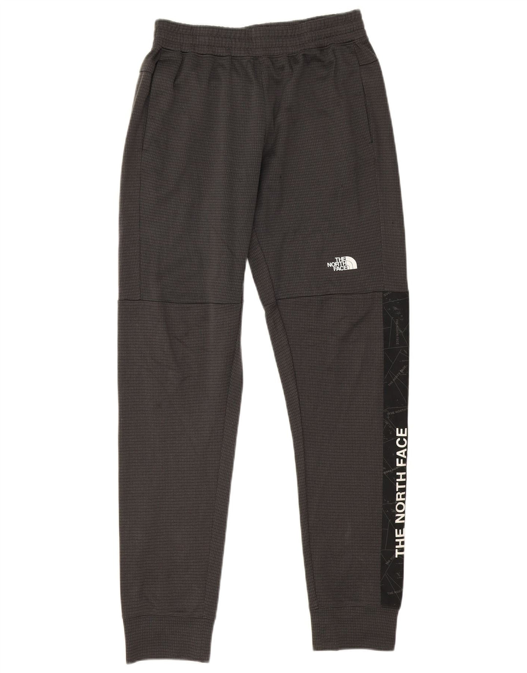 Calça esportiva masculina The North Face Graphic Joggers pequena xadrez cinza
