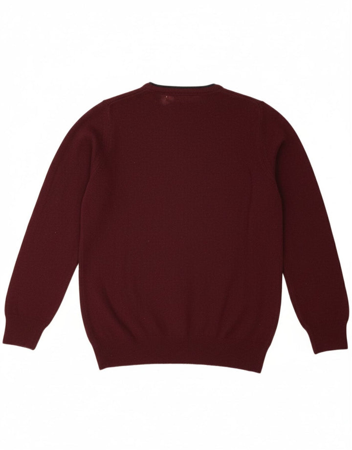Suéter masculino REFRIGIWEAR com decote em V médio de lã cor de vinho
