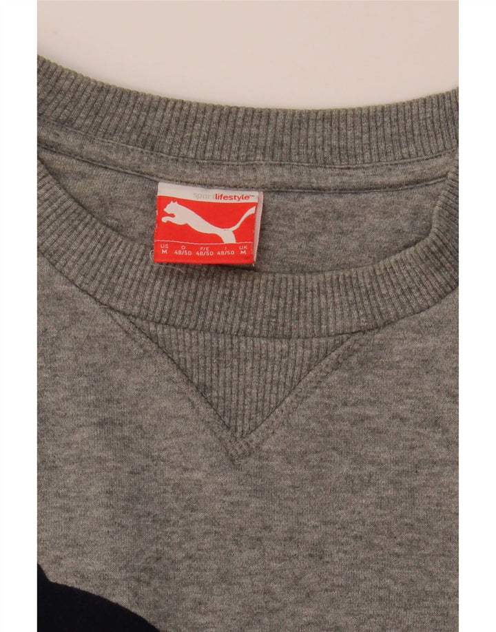 Puma masculino gráfico moletom jumper médio cinza manchado