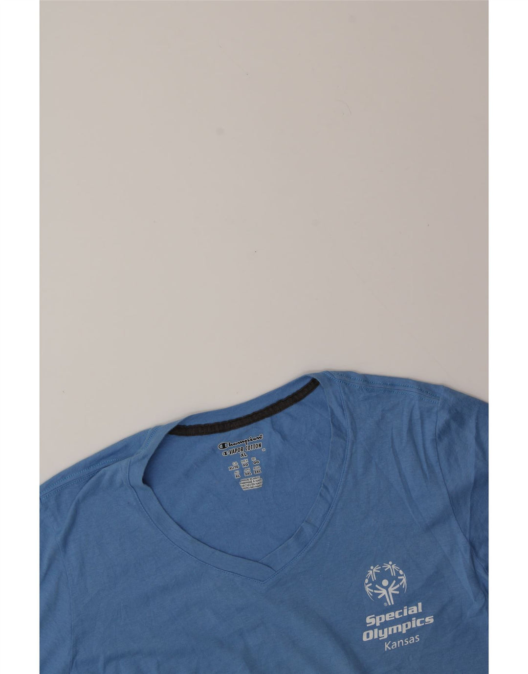 CHAMPION Womens T-Shirt Top UK 18 XL Blue Cotton Vintage Champion and Second-Hand Champion from Messina Hembry 