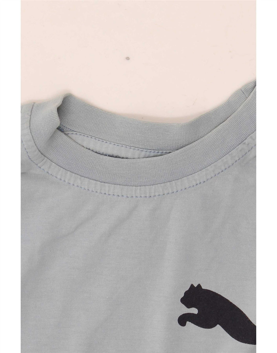 Camiseta Puma Meninos Graphic 9-10 Anos Cinza