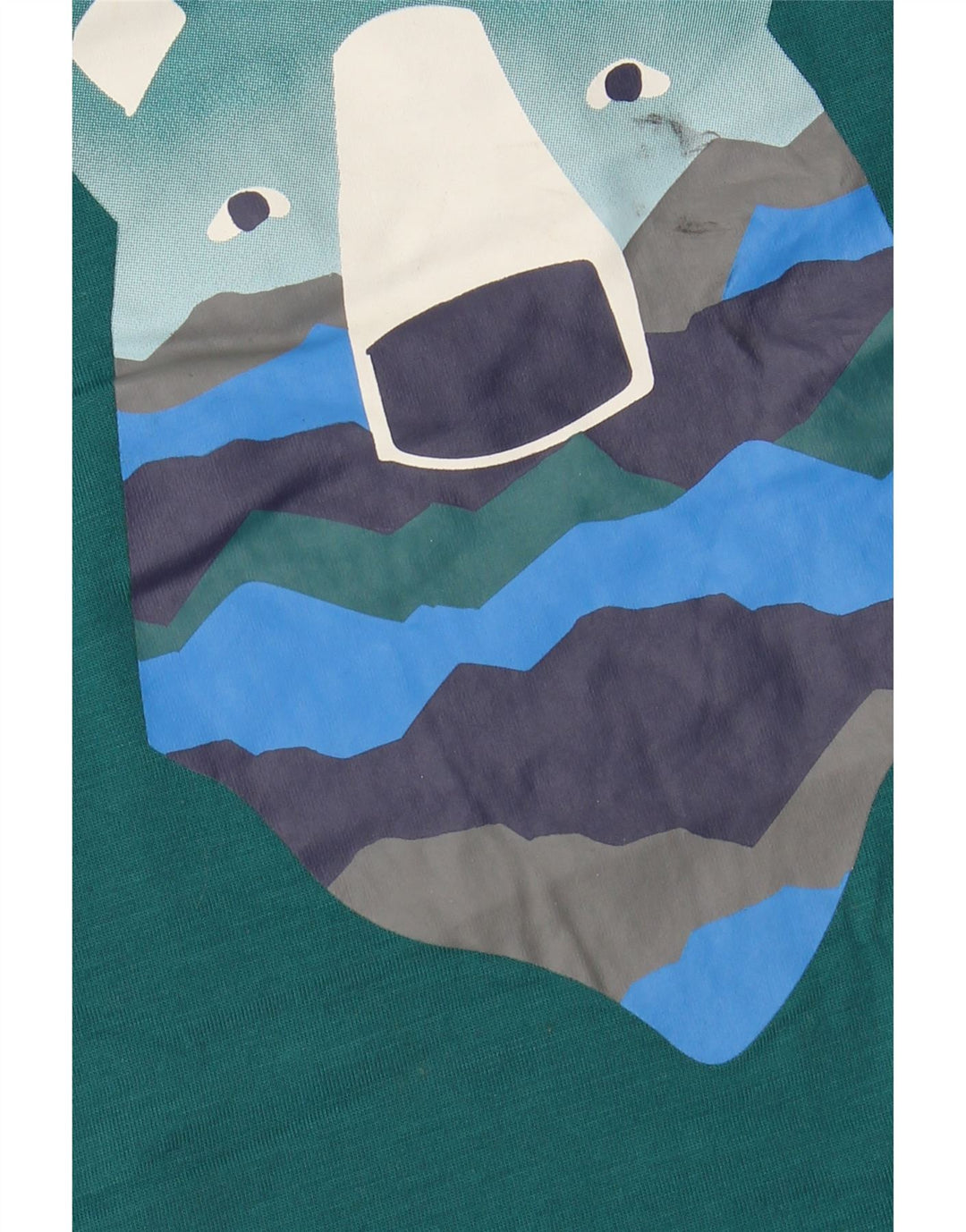 EDDIE BAUER Camiseta gráfica masculina manga comprida 13-14 anos grande verde