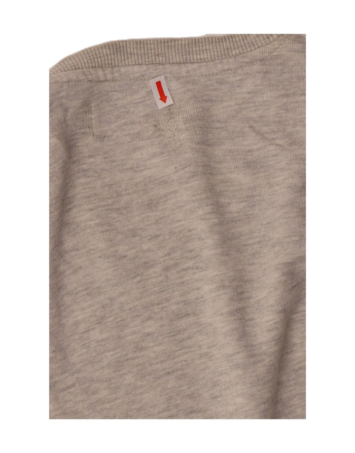PECKOTT Mens Heritage Graphic Sweatshirt Jumper IT 54 XL Grey Cotton Vintage Peckott and Second-Hand Peckott from Messina Hembry 