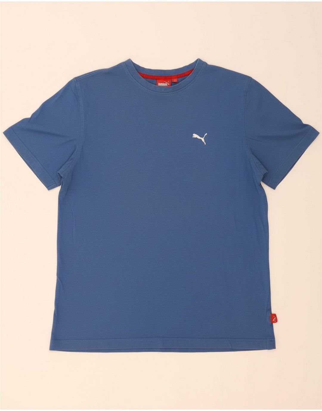 Camiseta masculina PUMA grande azul