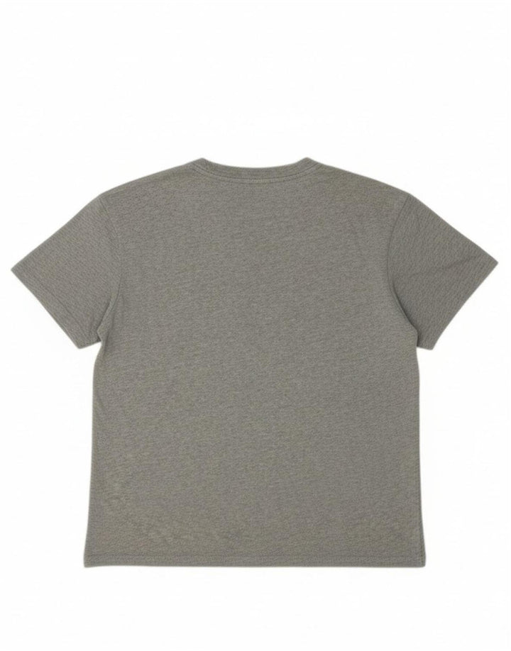 Camiseta GAP Boys Graphic 14-15 Anos Algodão Cinza