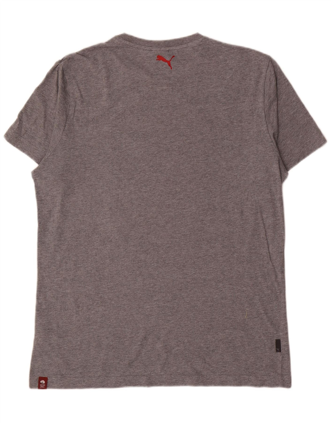 Puma Camiseta Masculina Graphic Top Grande Cinza