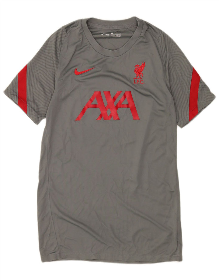 Camiseta Nike masculina Liverpool Graphic Camiseta pequena cinza colorblock poliéster