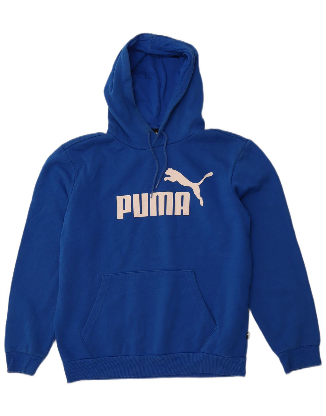 PUMA Mens Graphic Hoodie Jumper Médio Algodão Azul