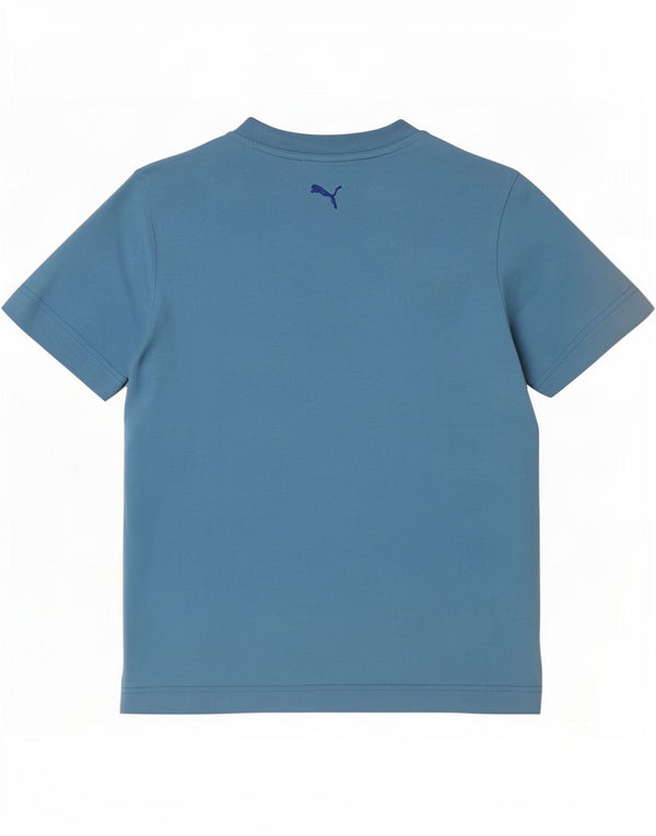 Puma Mens Graphic T-Shirt Top Small Blue