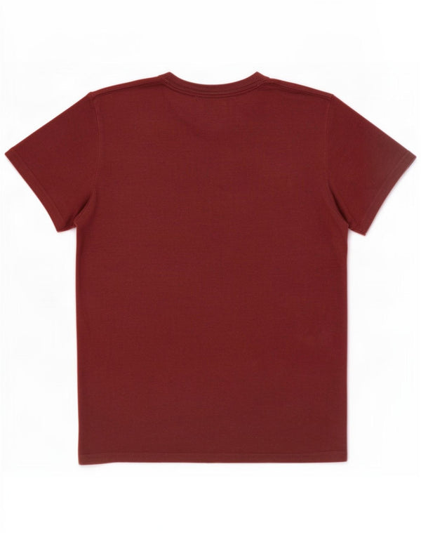 Camiseta masculina Hollister com estampa gráfica, algodão manchado marrom médio