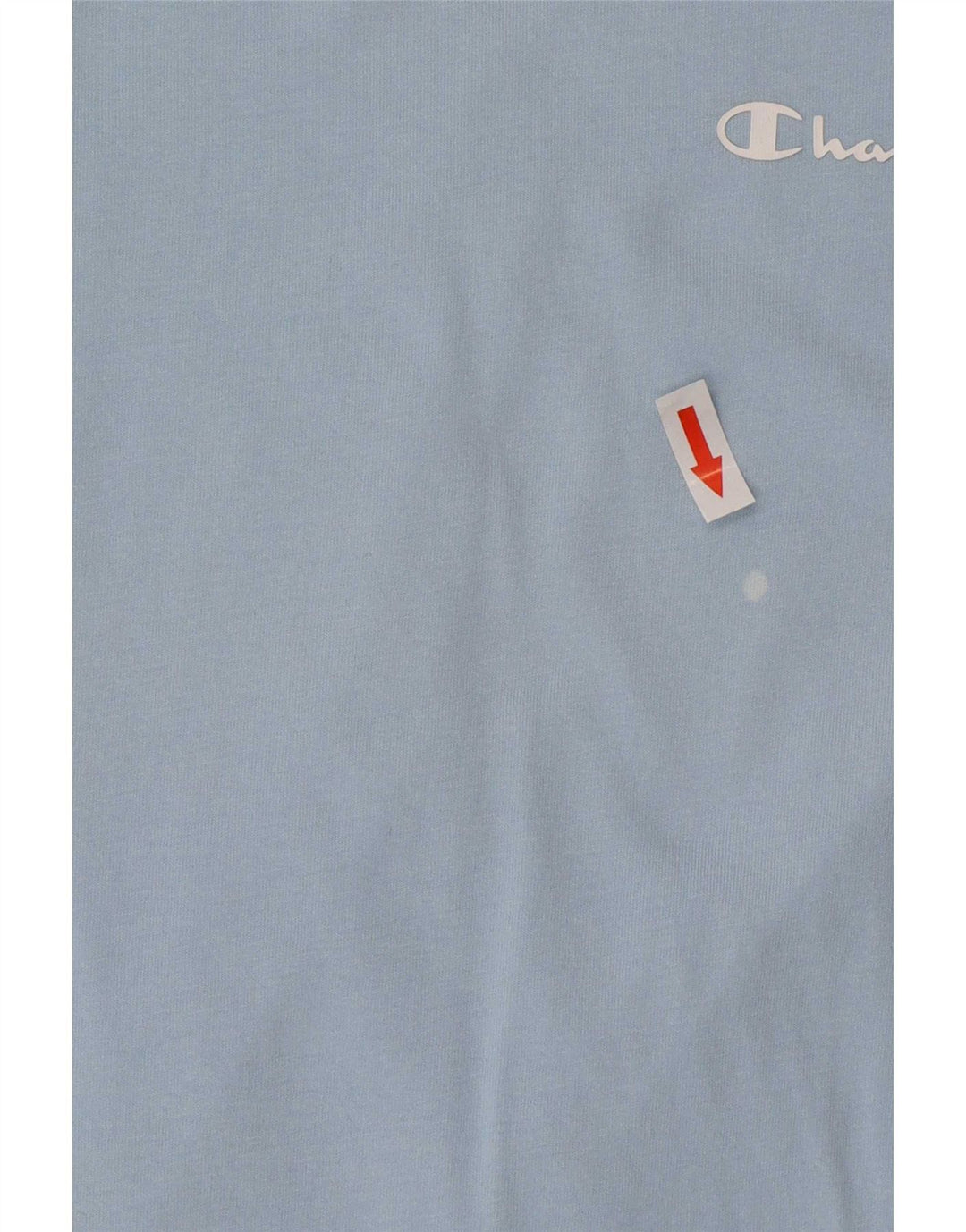Camiseta masculina Champion pequena azul