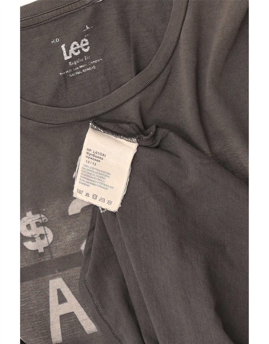 Camiseta masculina Lee de ajuste regular com estampa gráfica grande algodão cinza