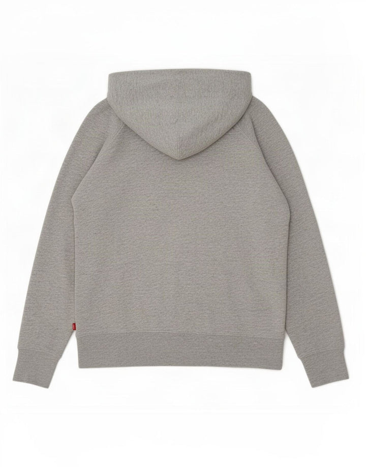 Suéter com capuz gráfico masculino Levi's pequeno algodão cinza