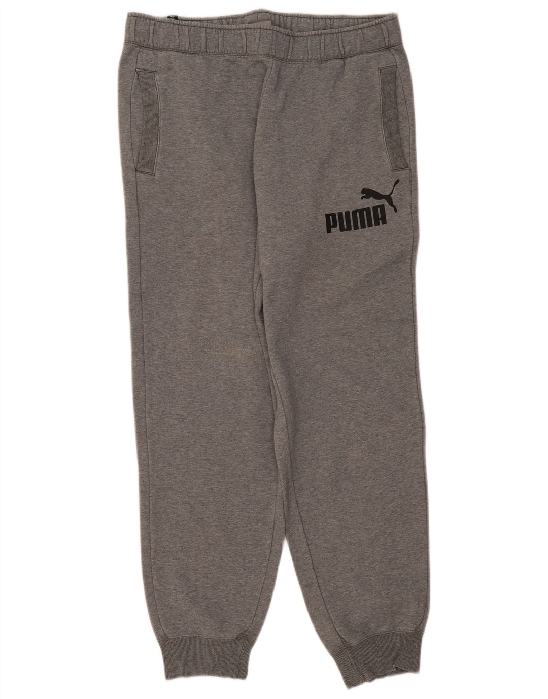 Calça de treino masculina Puma Graphic Joggers XL cinza