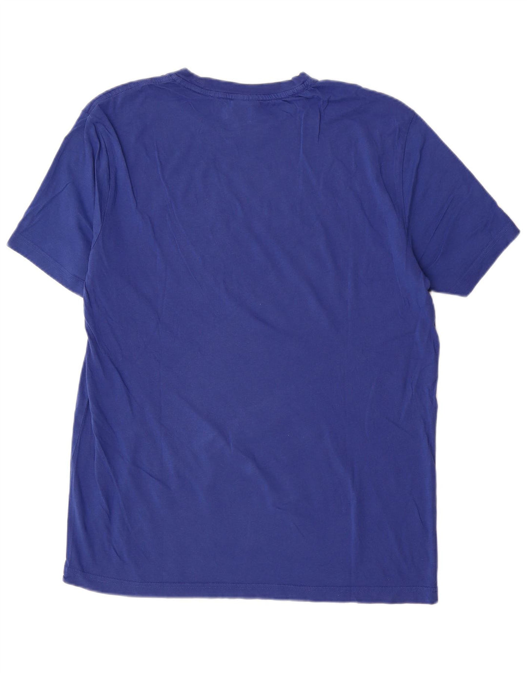 Camiseta gráfica masculina Champion XL azul