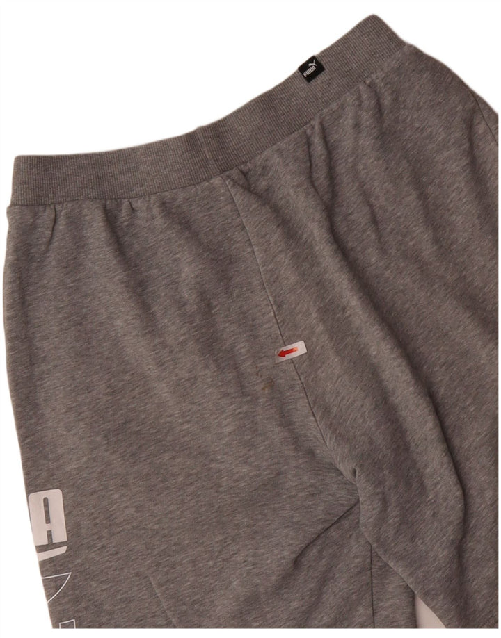 Puma Mens Graphic Sport Shorts Pequeno Algodão Cinza