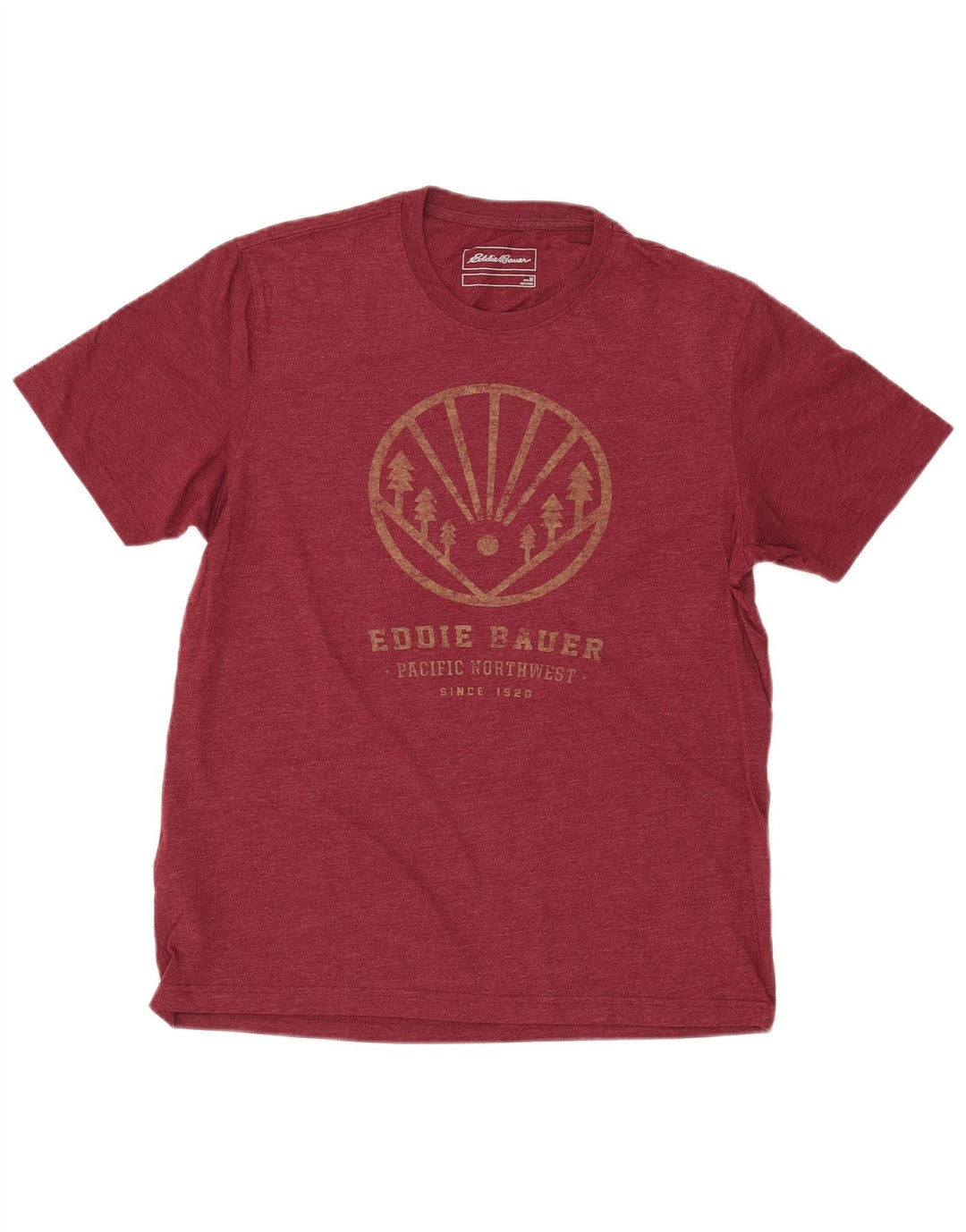 Camiseta masculina EDDIE BAUER com estampa gráfica de algodão marrom médio