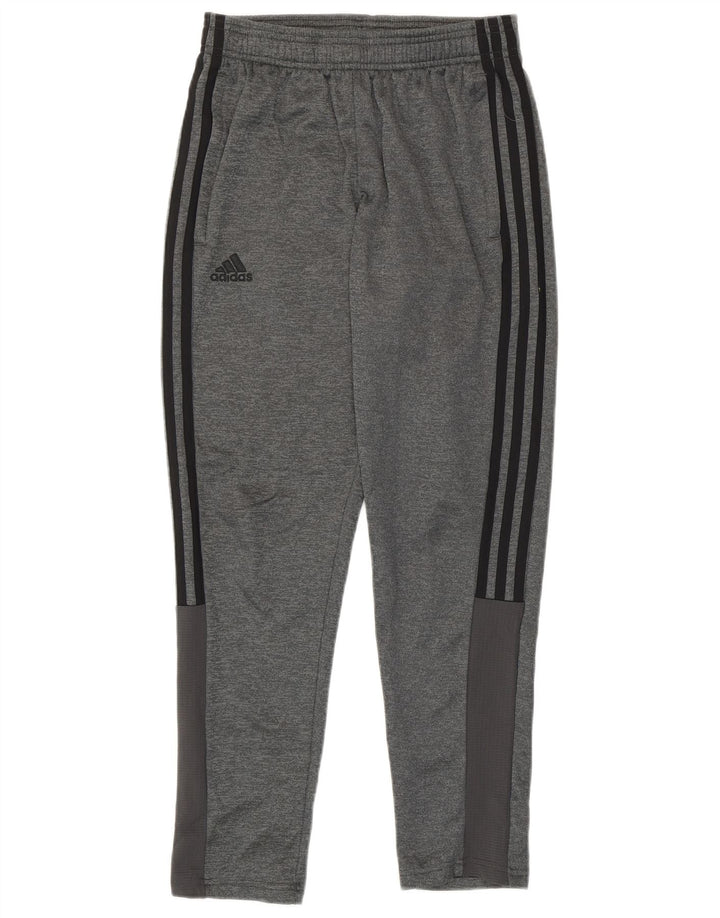 Calças de treino Adidas Boys Climawarm 11-12 anos cinza poliéster