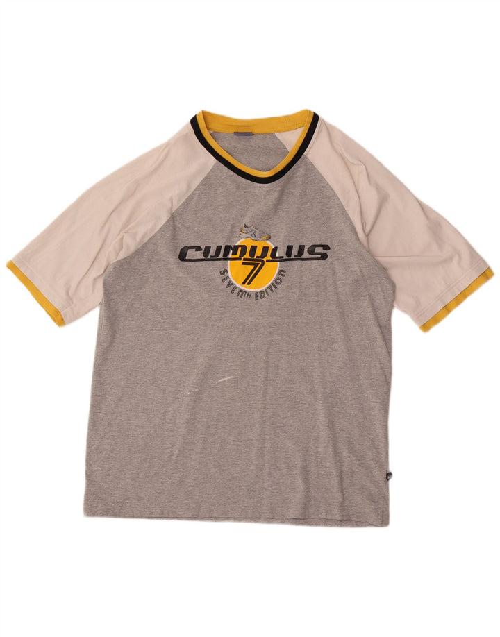 Camiseta Asics masculina gráfica grande bloco colorido cinza