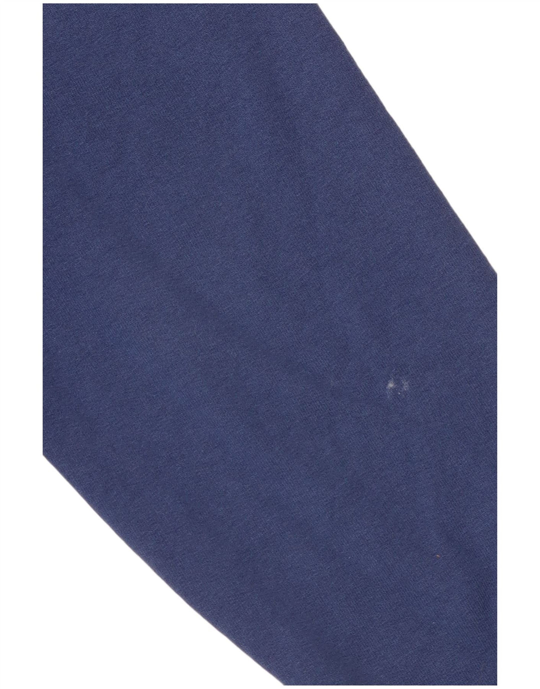 Champion masculino Wheaton gráfico moletom com capuz pequeno azul