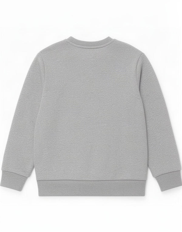 Suéter Adidas Menino 2-3 Anos Cinza Algodão
