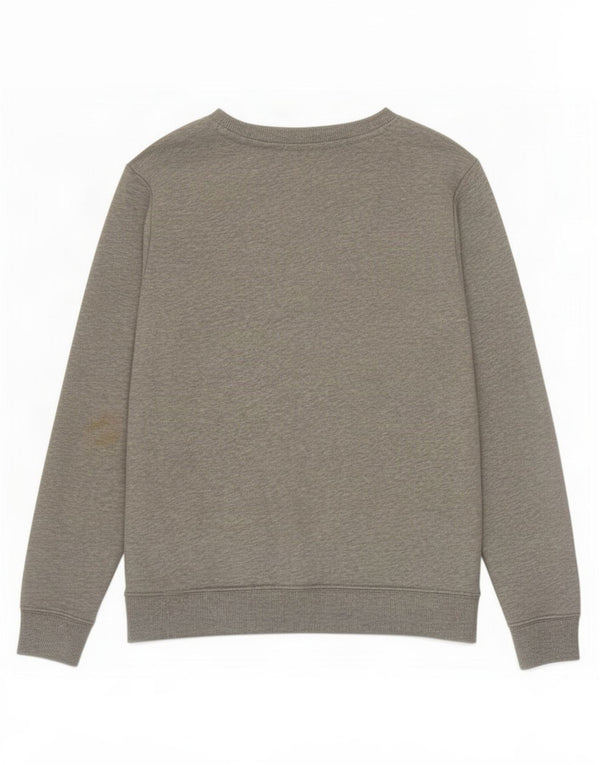 Calvin Klein Jeans Meninos Moletom Gráfico Jumper 13-14 Anos Cinza Algodão