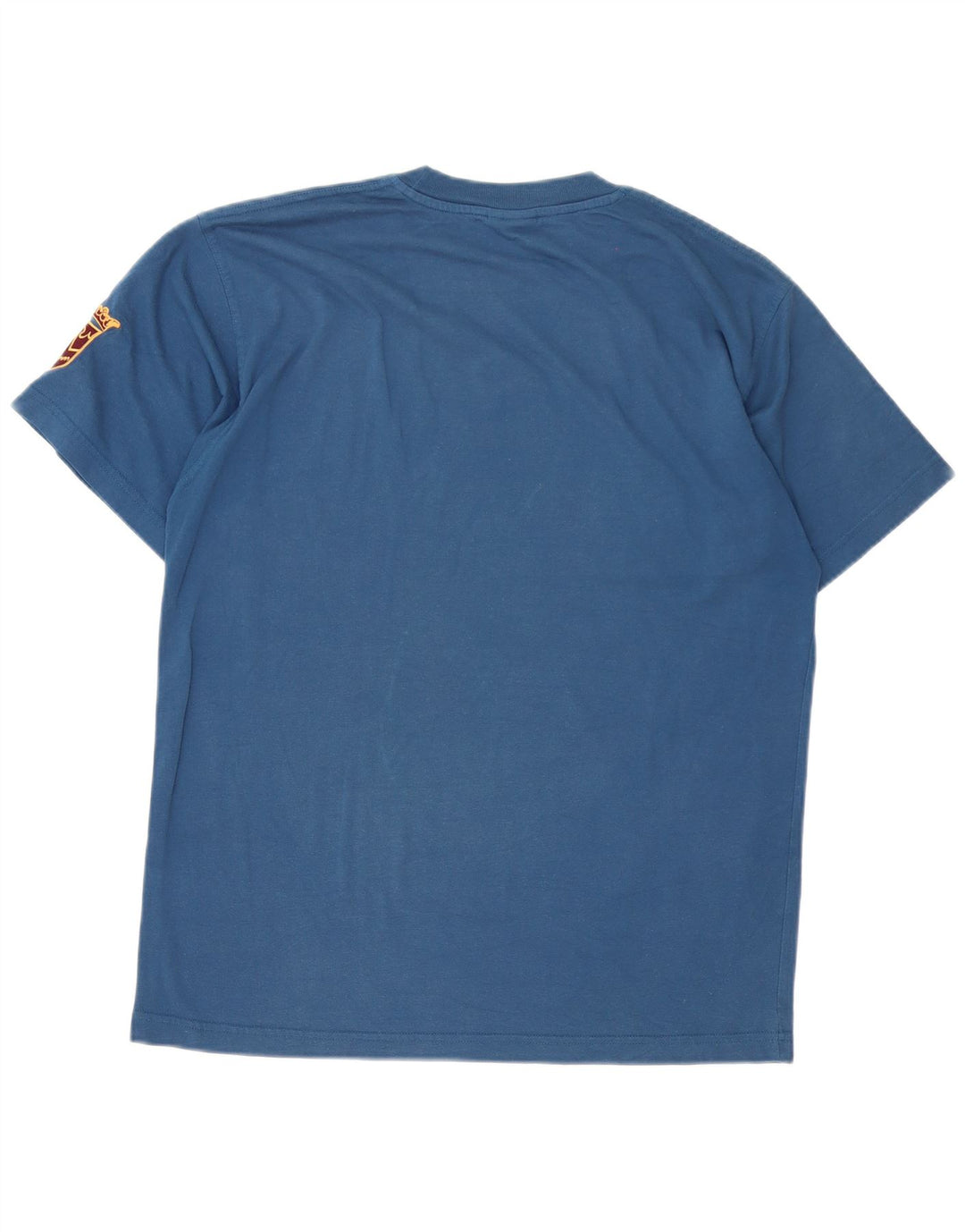 Puma Camiseta Masculina Graphic Top Azul Médio