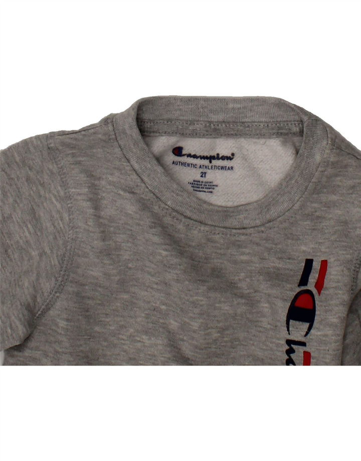 CHAMPION Baby Boys Graphic Sweatshirt Jumper 18-24 Months Grey Cotton Vintage Champion and Second-Hand Champion from Messina Hembry 