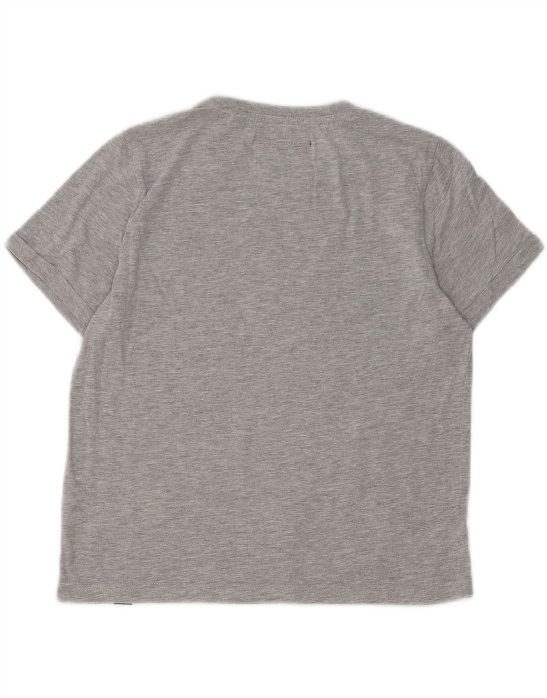 Camiseta feminina SUPERDRY Heritage Graphic UK 6 XS cinza