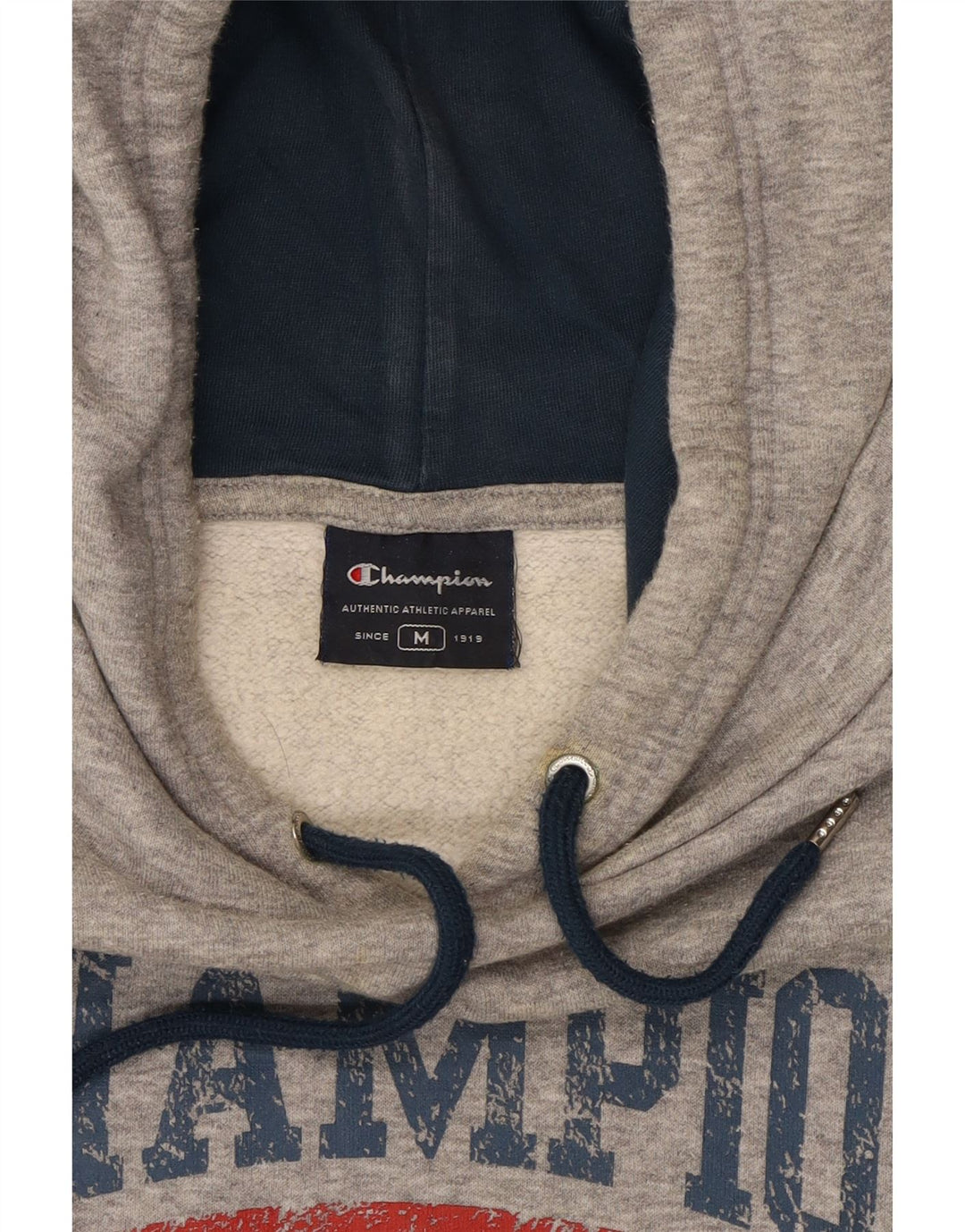 CHAMPION Suéter com capuz gráfico masculino cinza médio