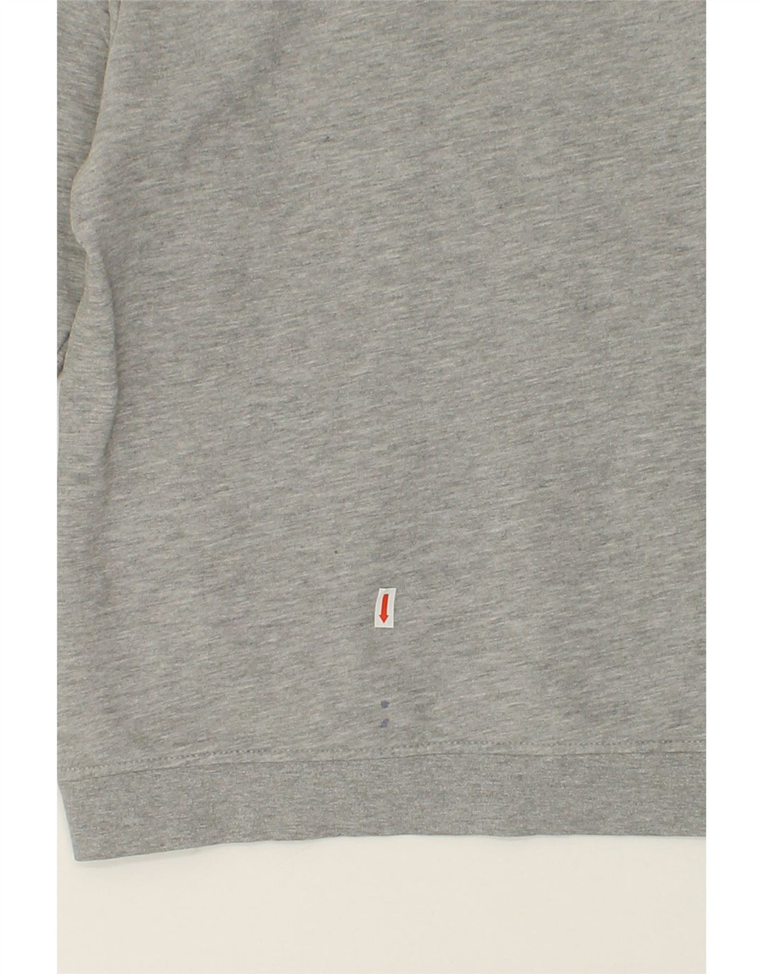 ELLESSE Boys Graphic Hoodie Jumper 11-12 Years Grey Cotton Vintage Ellesse and Second-Hand Ellesse from Messina Hembry 