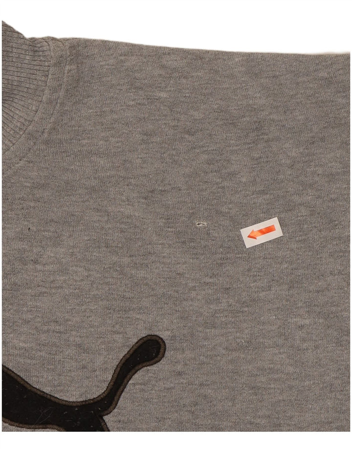 PUMA Mens Graphic Moletom Jumper Médio Cinza