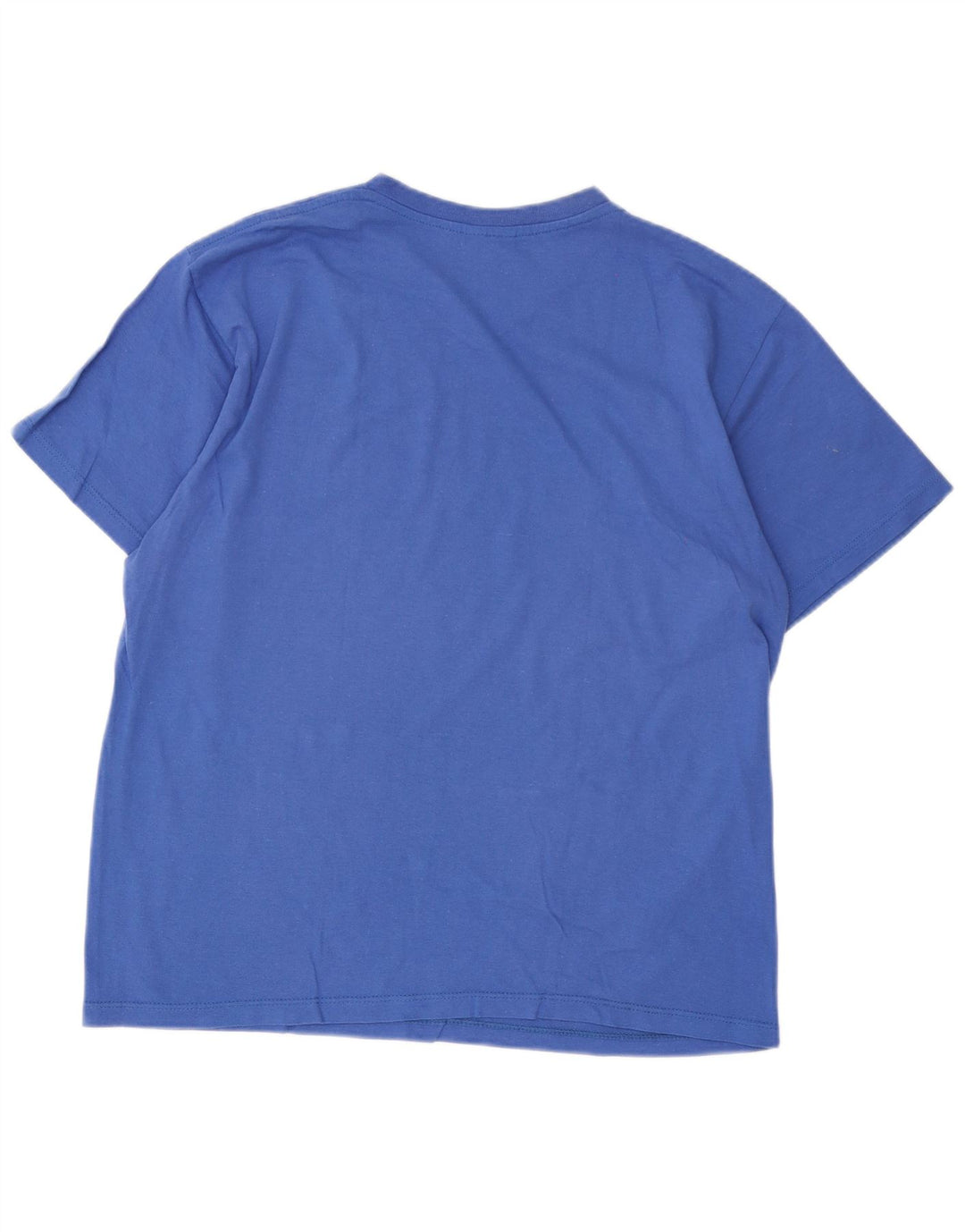 Camiseta masculina Champion grande algodão azul