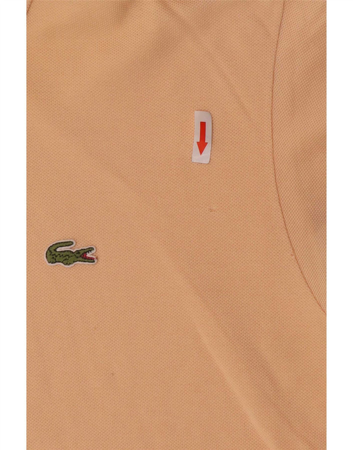 Camisa polo masculina Lacoste tamanho 5 grande algodão rosa