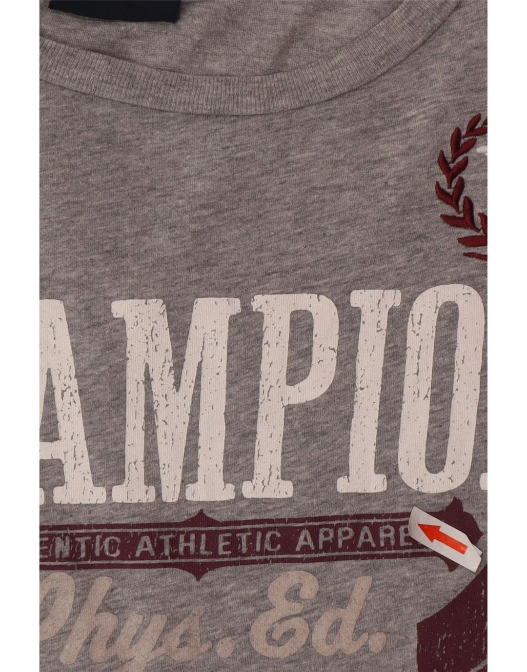 Camiseta masculina Champion Rochester com estampa gráfica grande de algodão cinza