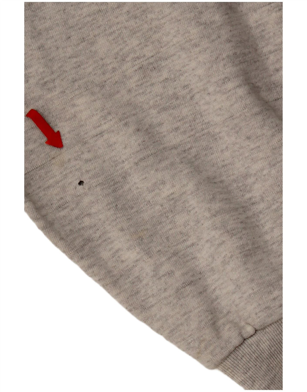 Jumper com capuz gráfico masculino Champion XL cinza