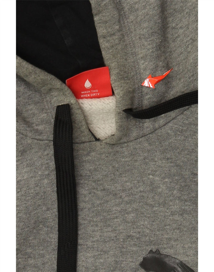 PUMA Mens Graphic Hoodie Jumper Grande Algodão Cinza